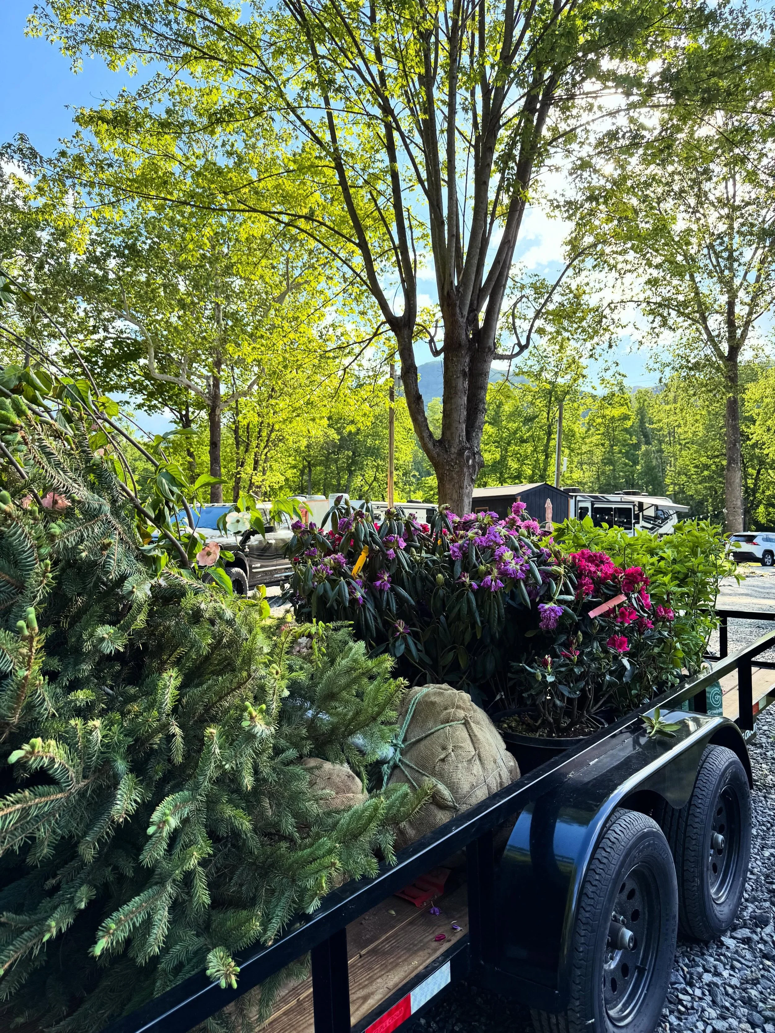 To say I&rsquo;ll be busy tomorrow may be an understatement 🌲 🌳 🌼 🌸 it&rsquo;s so much work but gosh it&rsquo;s worth it!