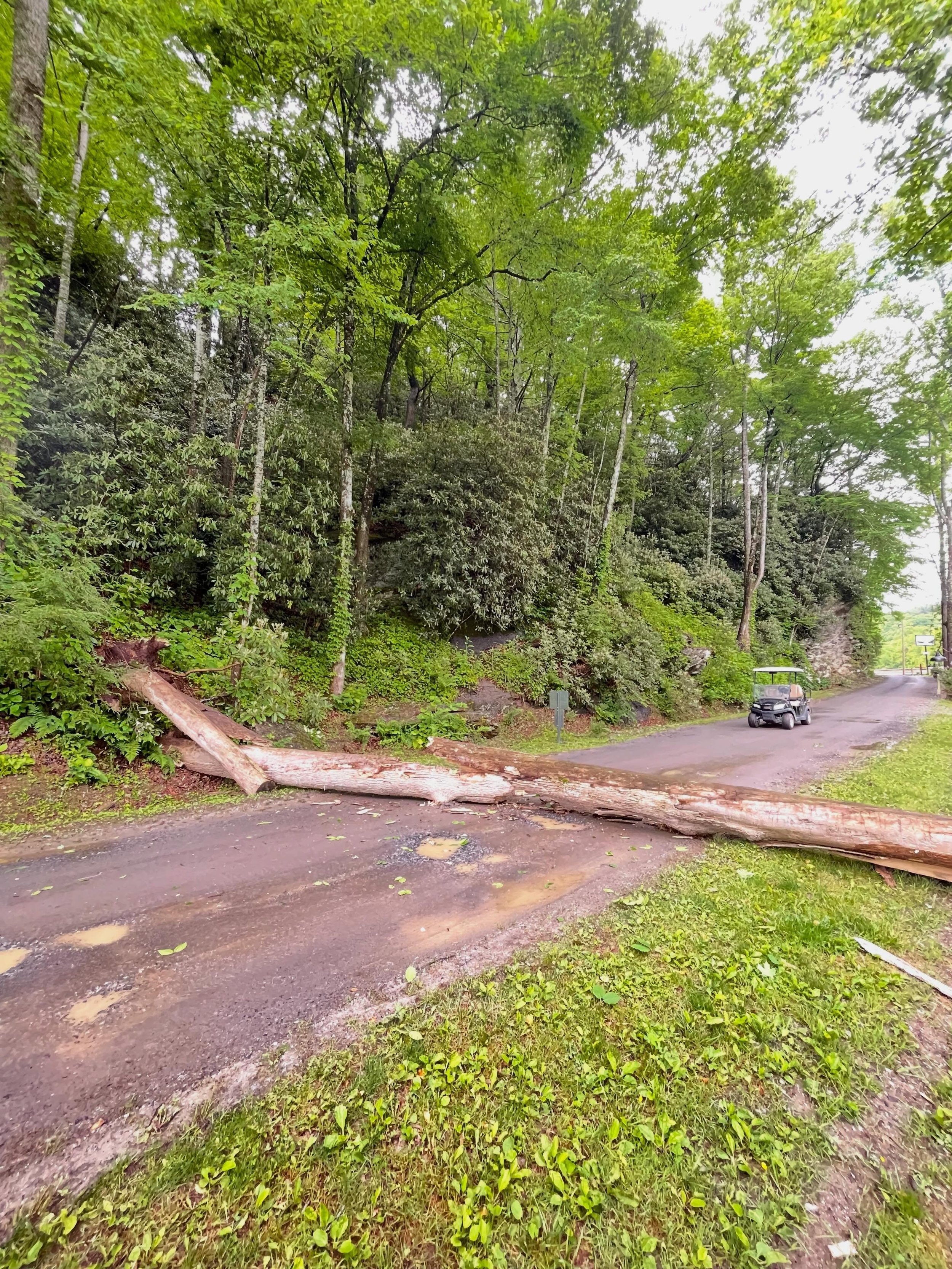 Always eventful around here 🤪🫠 I&rsquo;ve been working hard this week to try and find positives even in the frustrating conditions. So today I was thankful no cars or RVs were hit, no one was walking by or driving by. Freak accident but it couldn&r