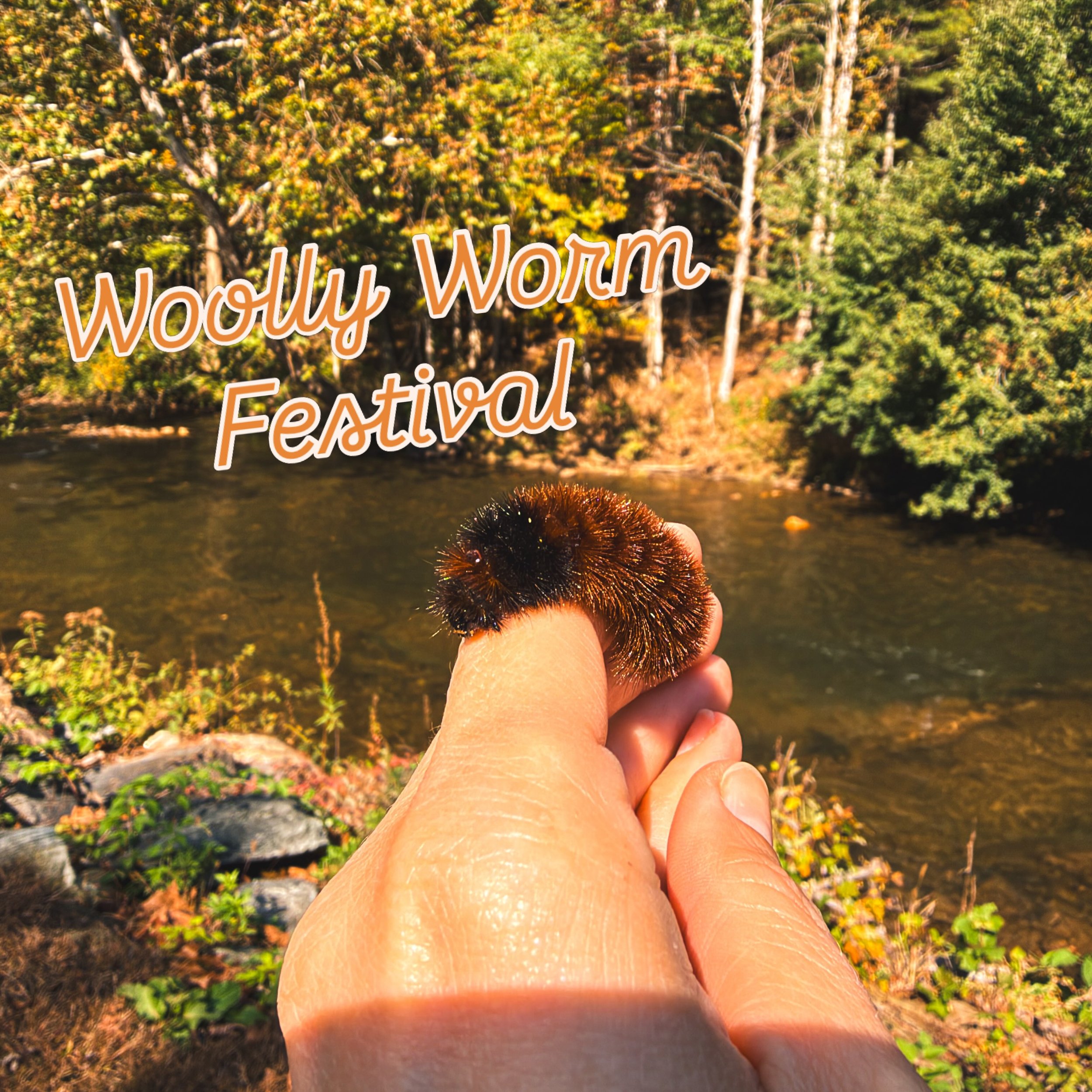 This weekend is the Woolly Worm Festival! If you&rsquo;re looking for something to do, check it out!