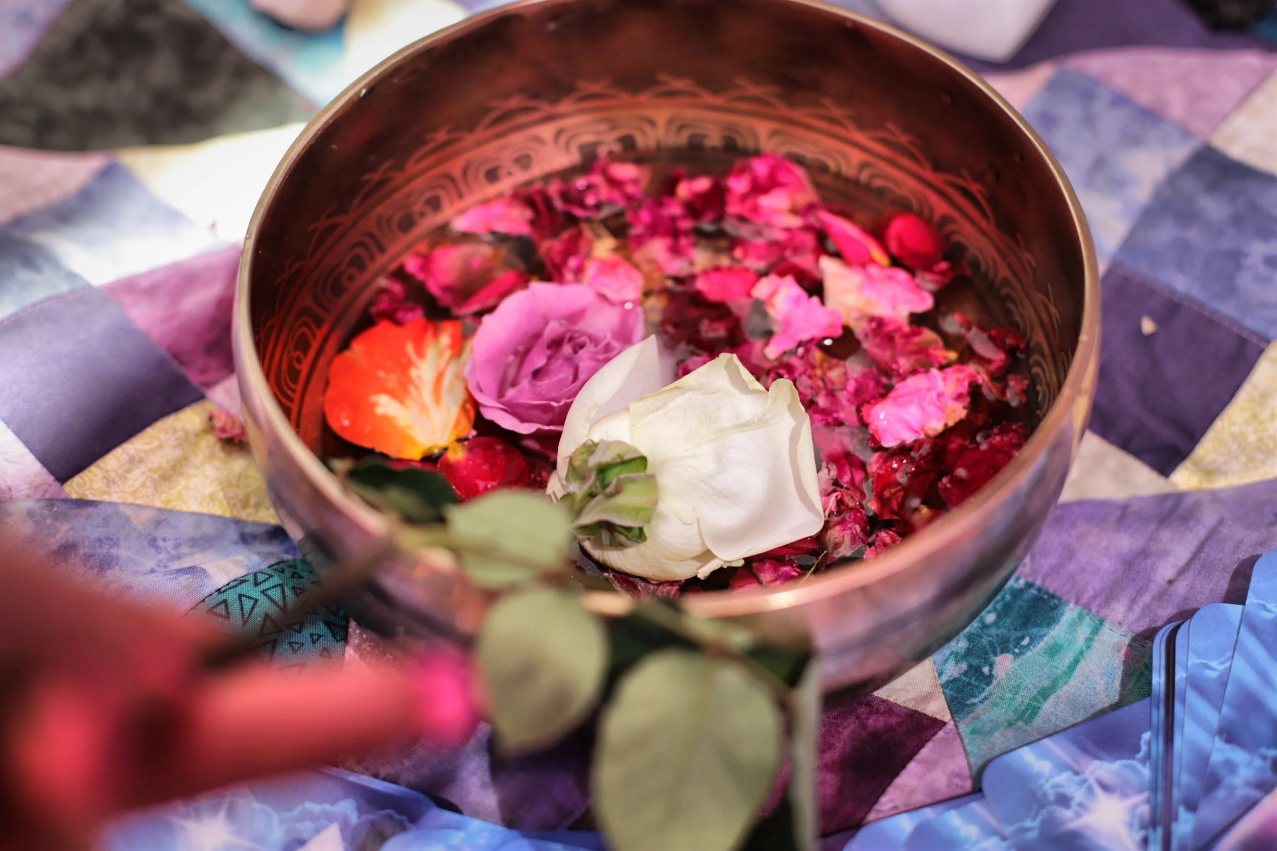 image00055 copy.jpeg