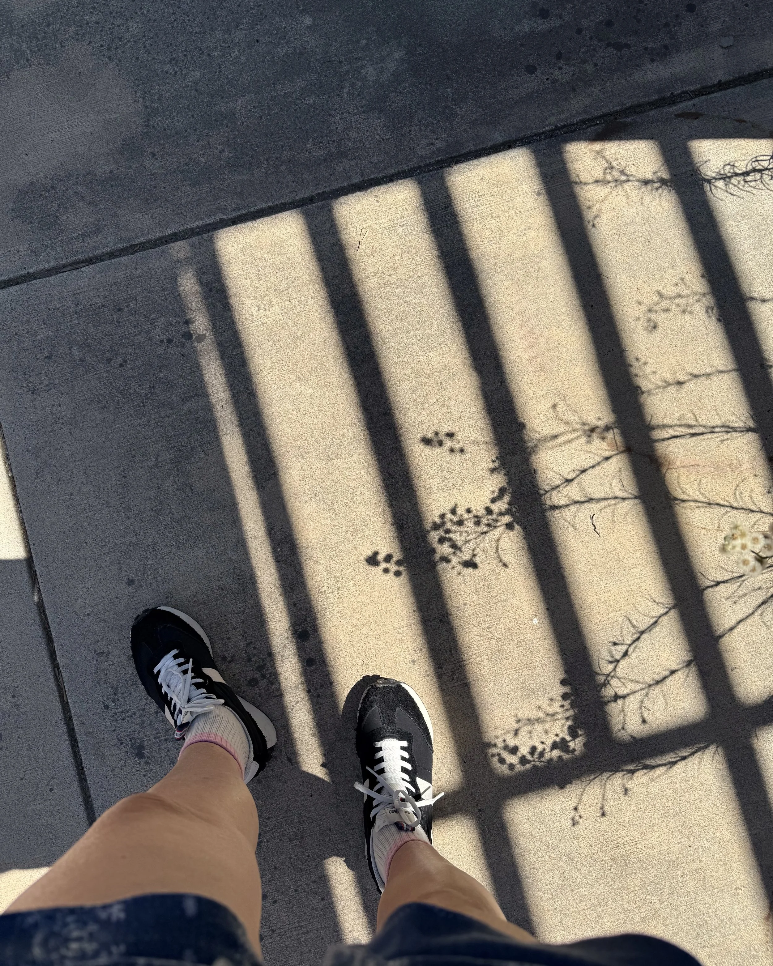 IMG_3431.jpeg