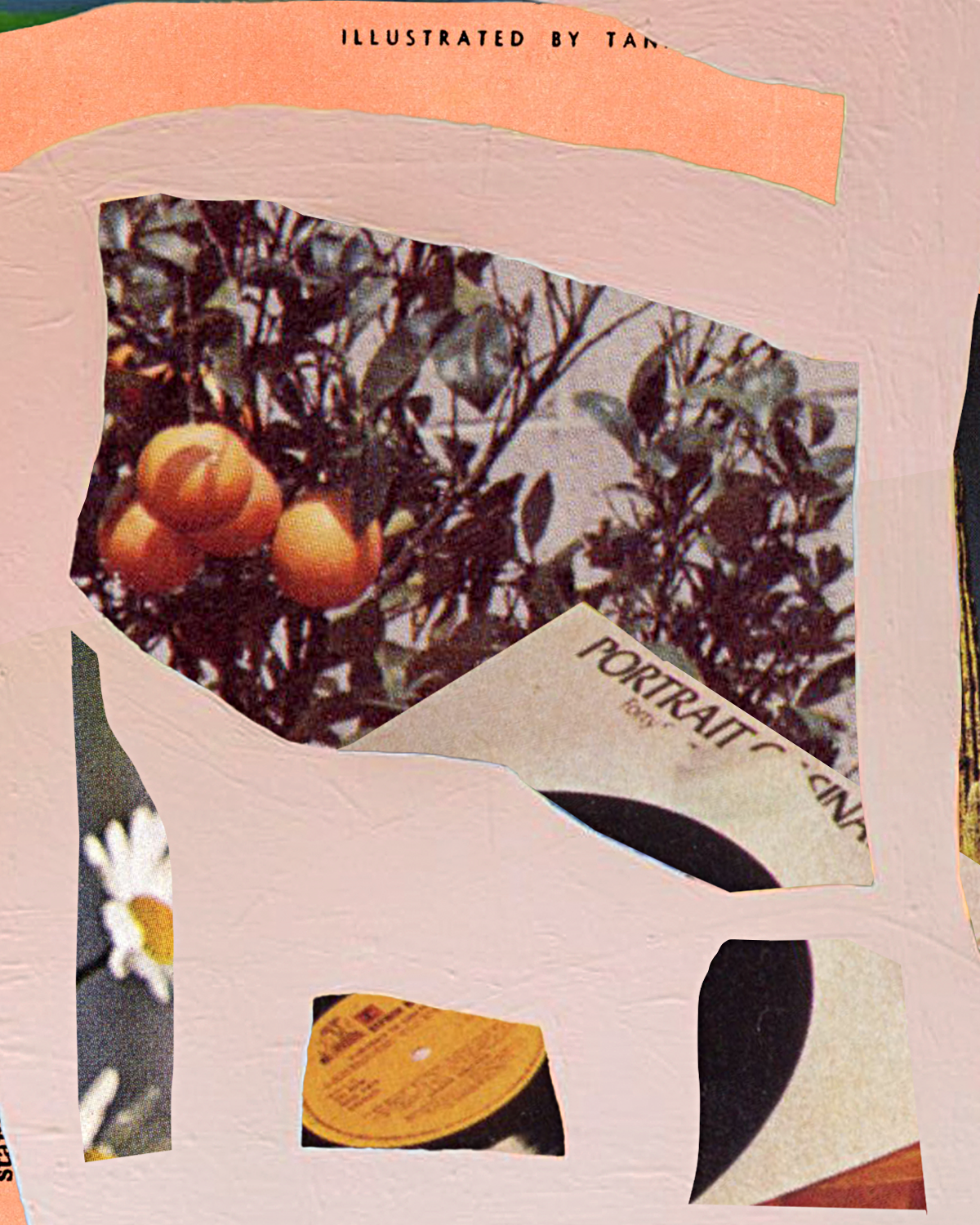 summer in the rearview joce aucoin.png