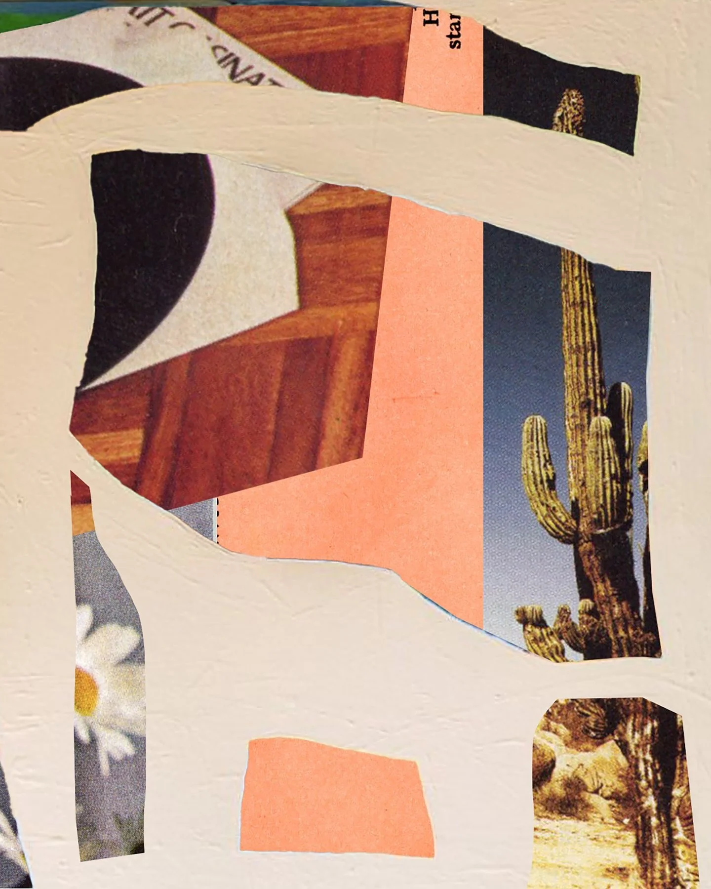 Everything Belongs

#collage #contemporarycollage #contemporarycollagemagazine #artpoem #poetry #art #sketch #ojai #ojaiartist