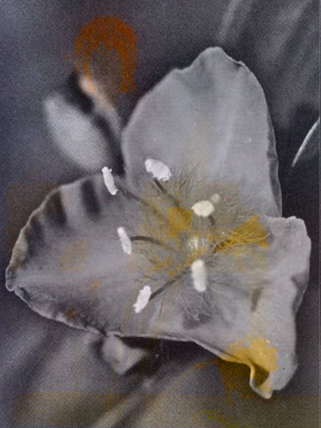 Spent way too long doing this today, no regrets