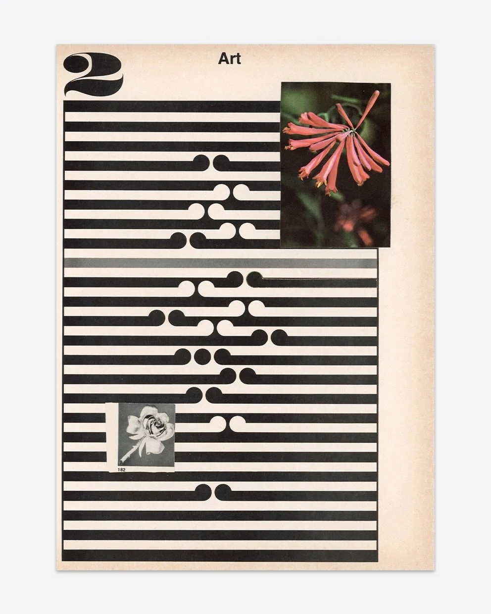 These papers have stories 

8x11 in
#papercollage
#papercollageartist