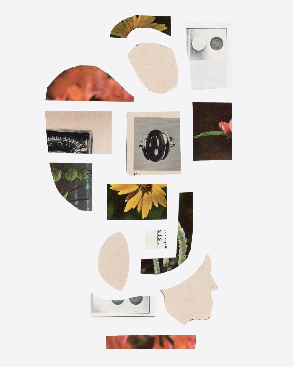 pieces-aucoin.png