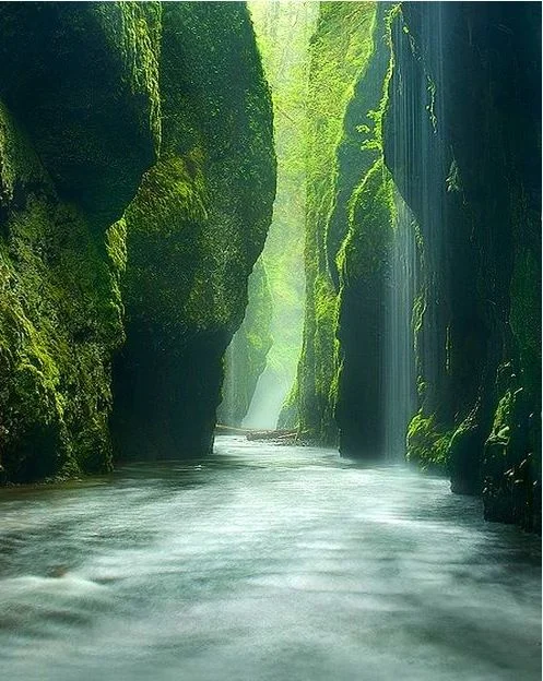 Oneonta Gorge, Oregon (source unknown)