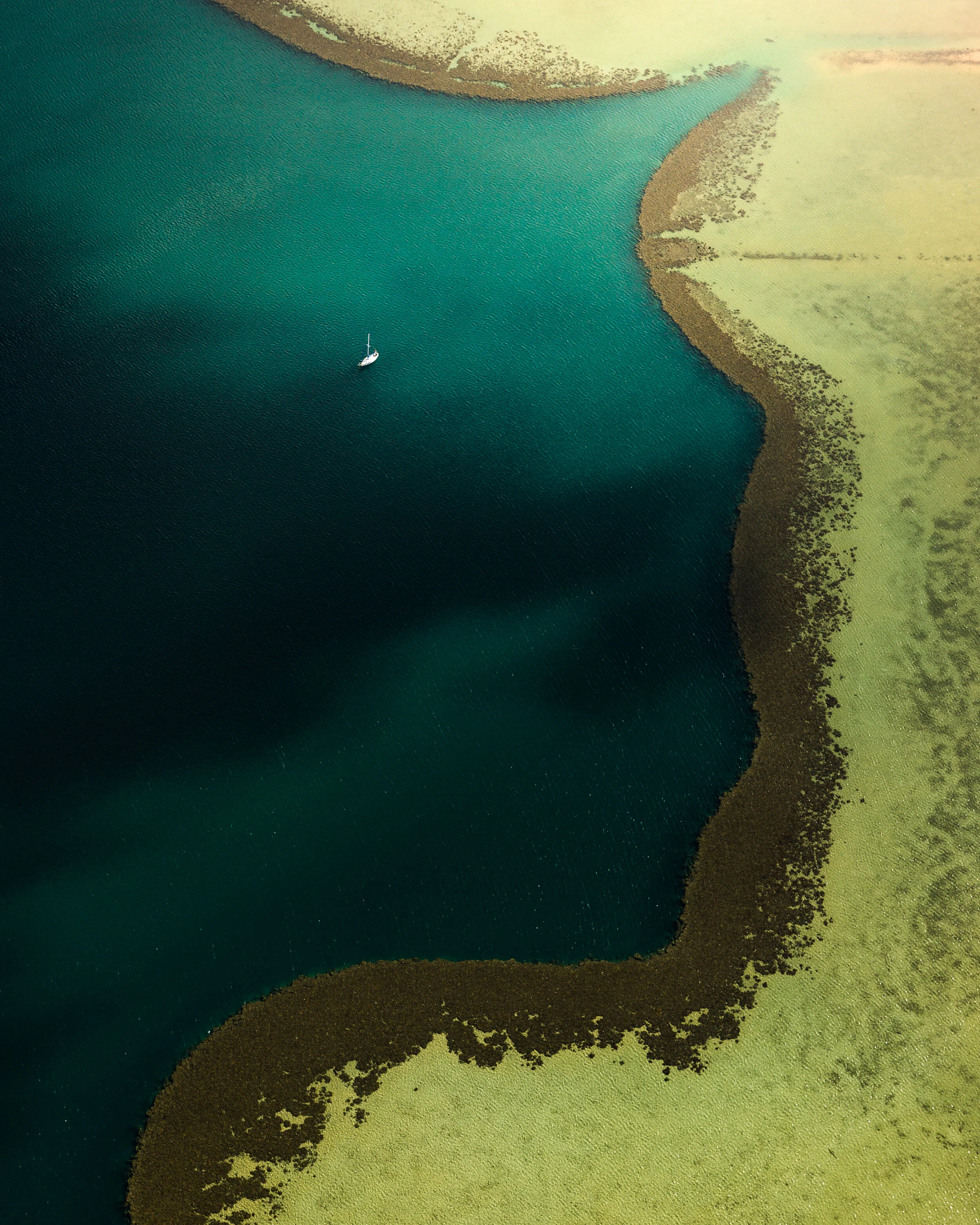 Hawaii Marsh Ocean (1 of 1).jpg