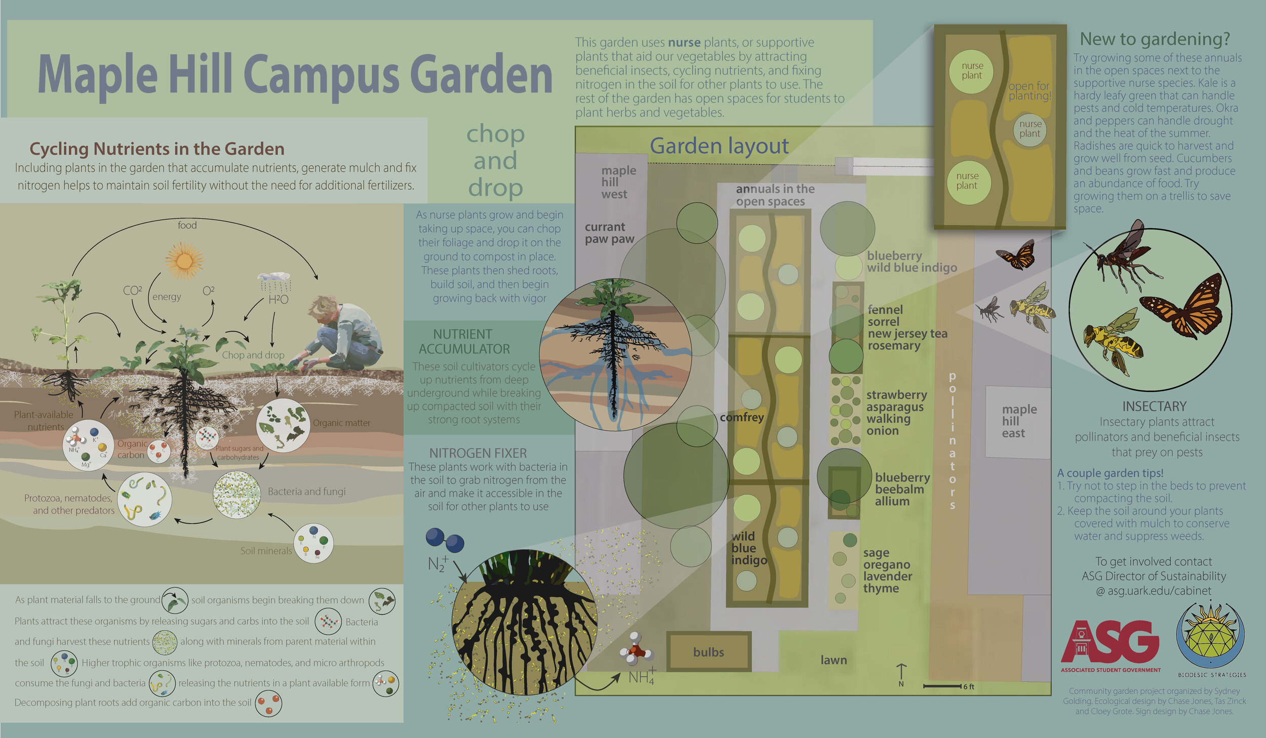 ua campus garden.jpg
