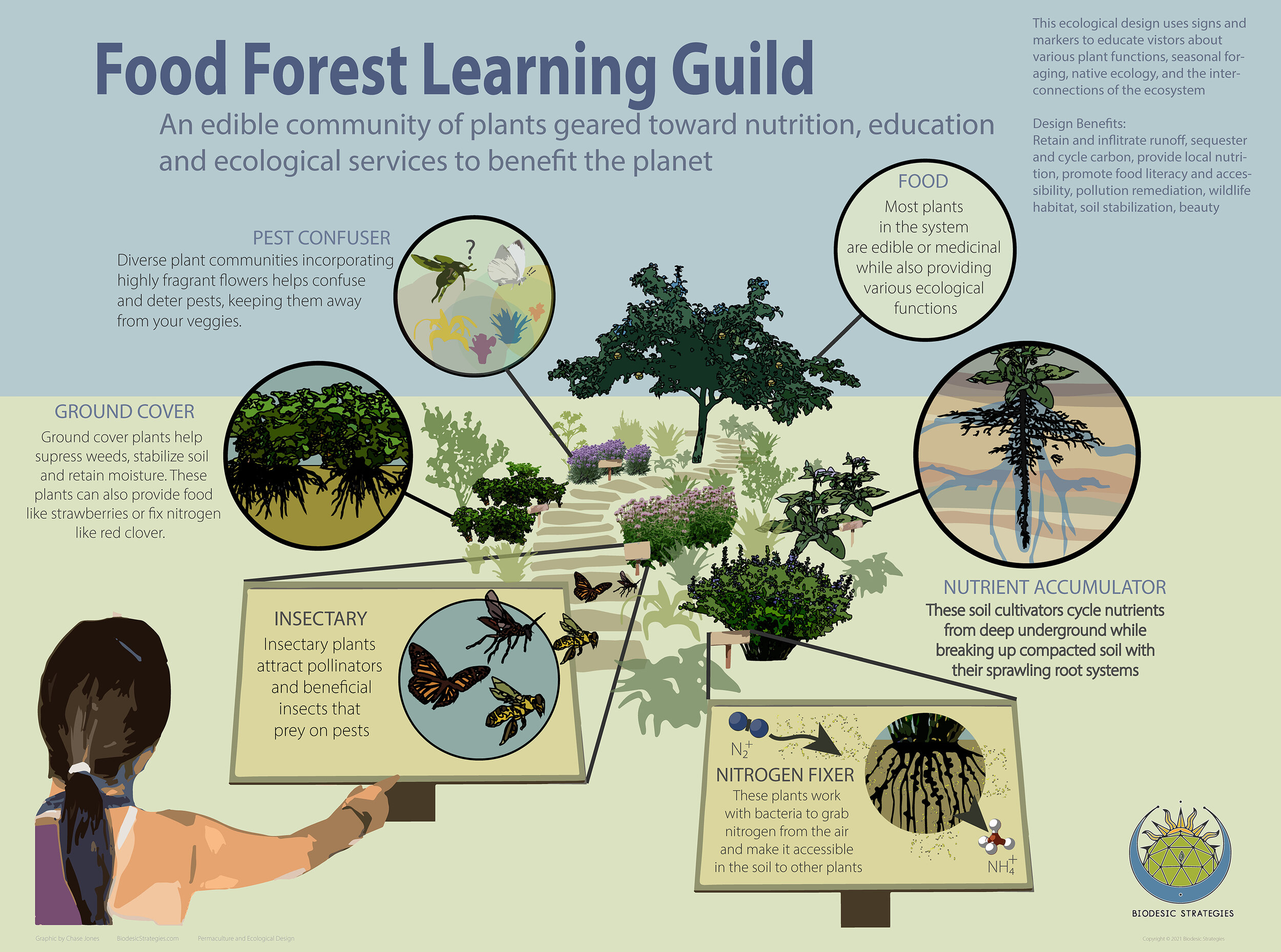 Food Forest Learning Guild.jpg