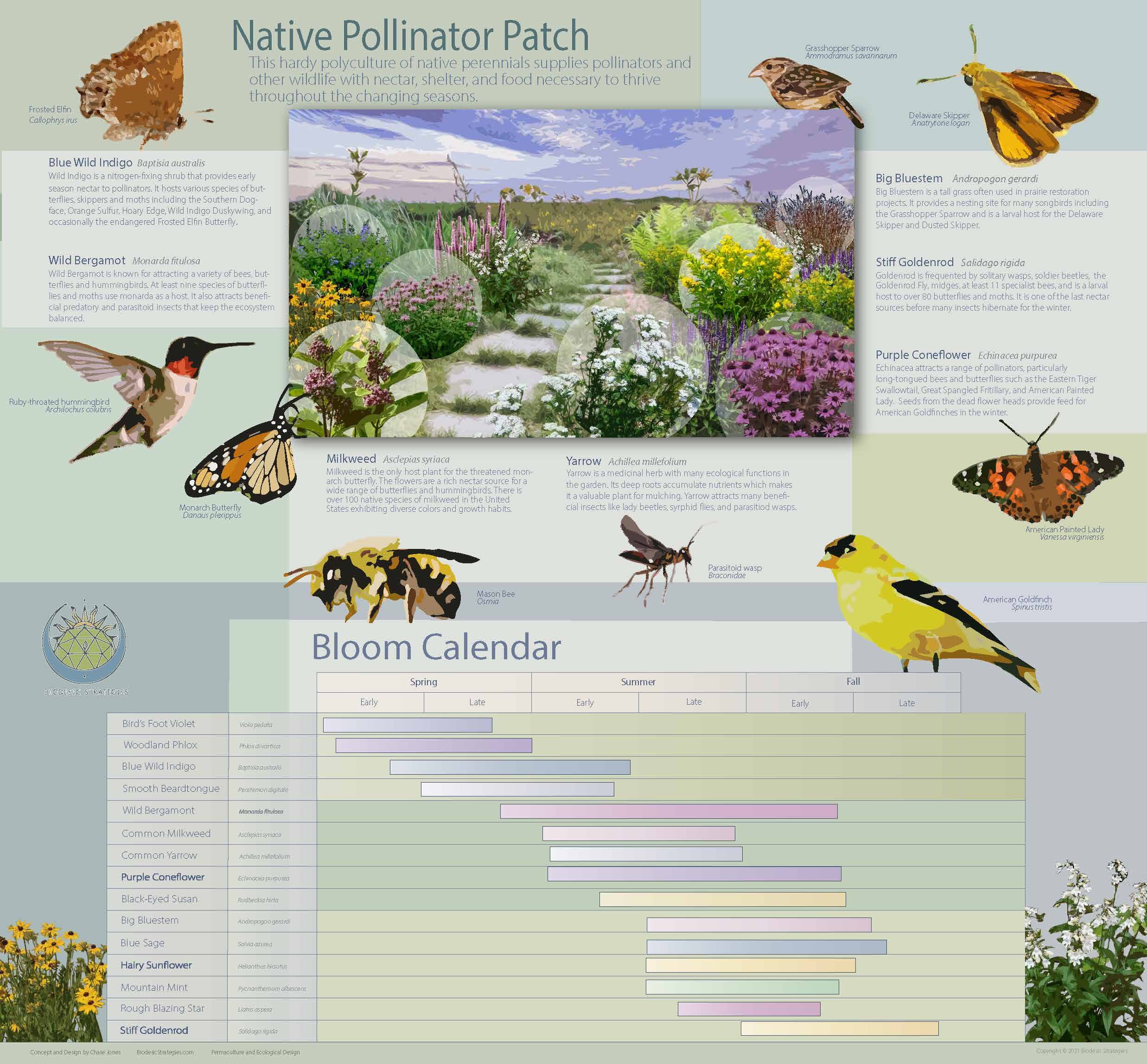 Native Pollinator Patch.jpg