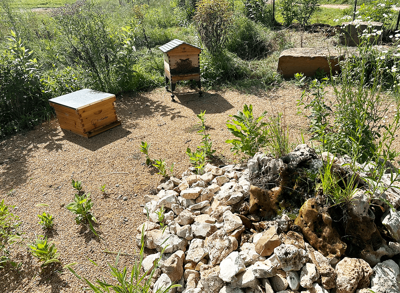 a courtyard with bee hives and a bee bubbler fountain for thirsty insects. the bee bubbler pours water over rocks to create small pools.