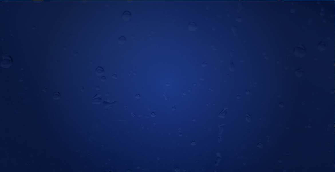 TW_Paradigm_ColorPlaceholderBLUEArtboard 4.png
