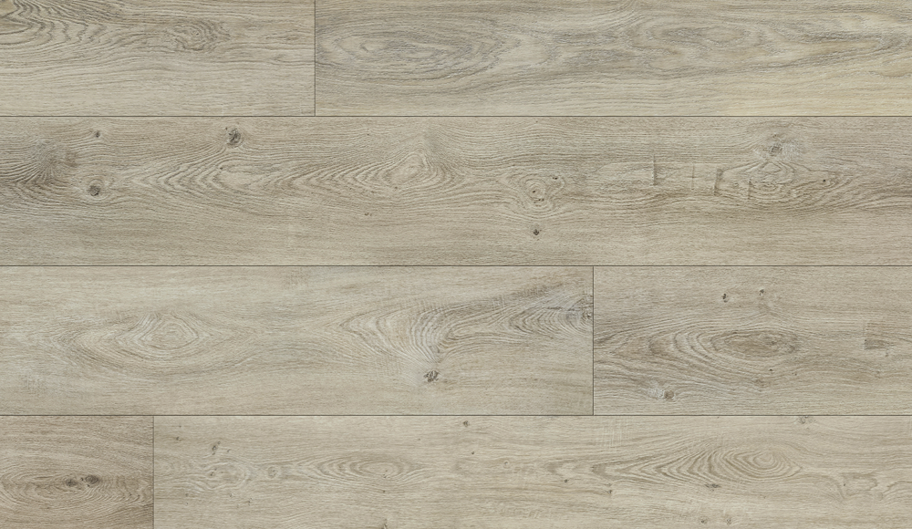 Parliament - CON2020PAD 