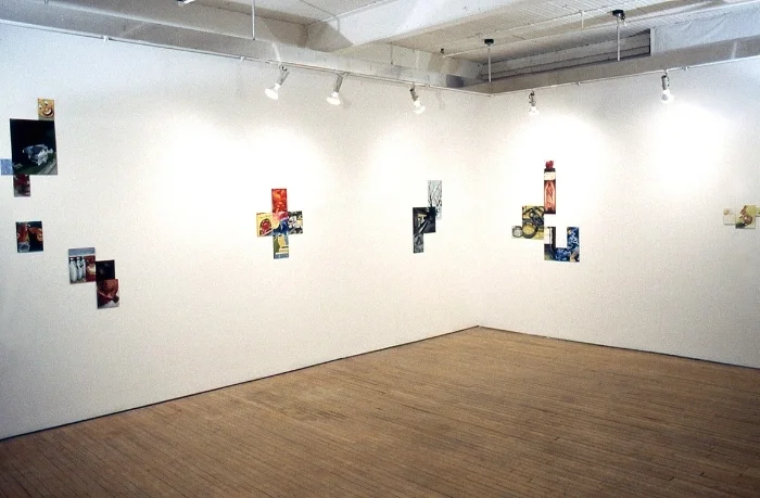 It and all the rest of it (1999), Mercer Union Gallery, Toronto, oil panel installation.