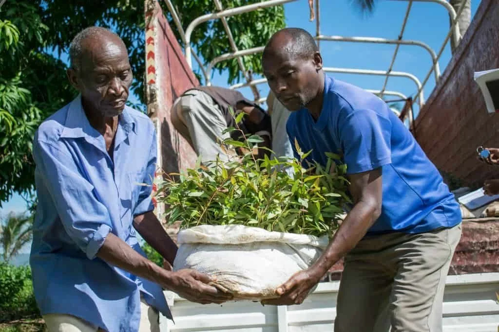1809-Click-A-Tree-first-tree-planting-photos-from-reforestation-across-the-globe-007.jpeg