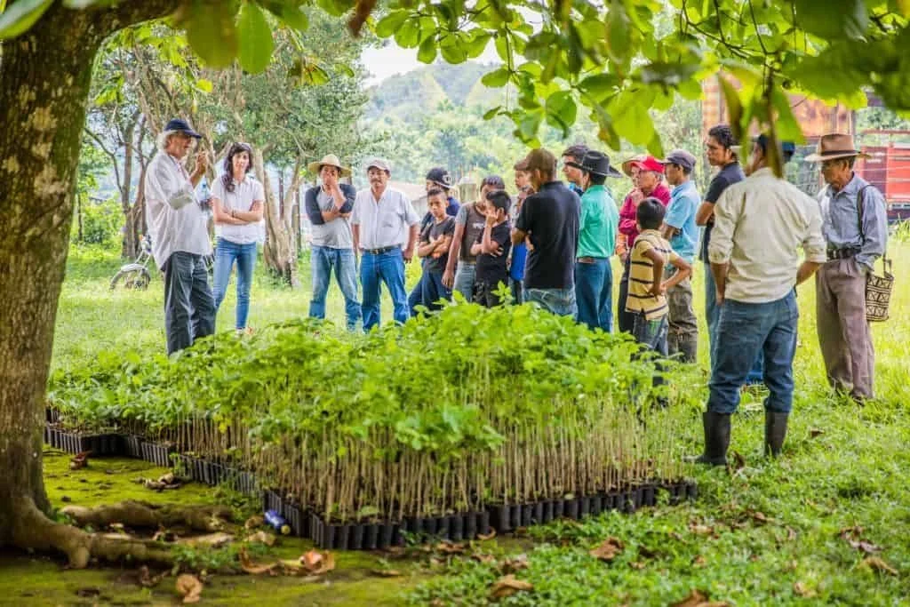 1809-Click-A-Tree-first-tree-planting-photos-from-reforestation-across-the-globe-014.jpeg