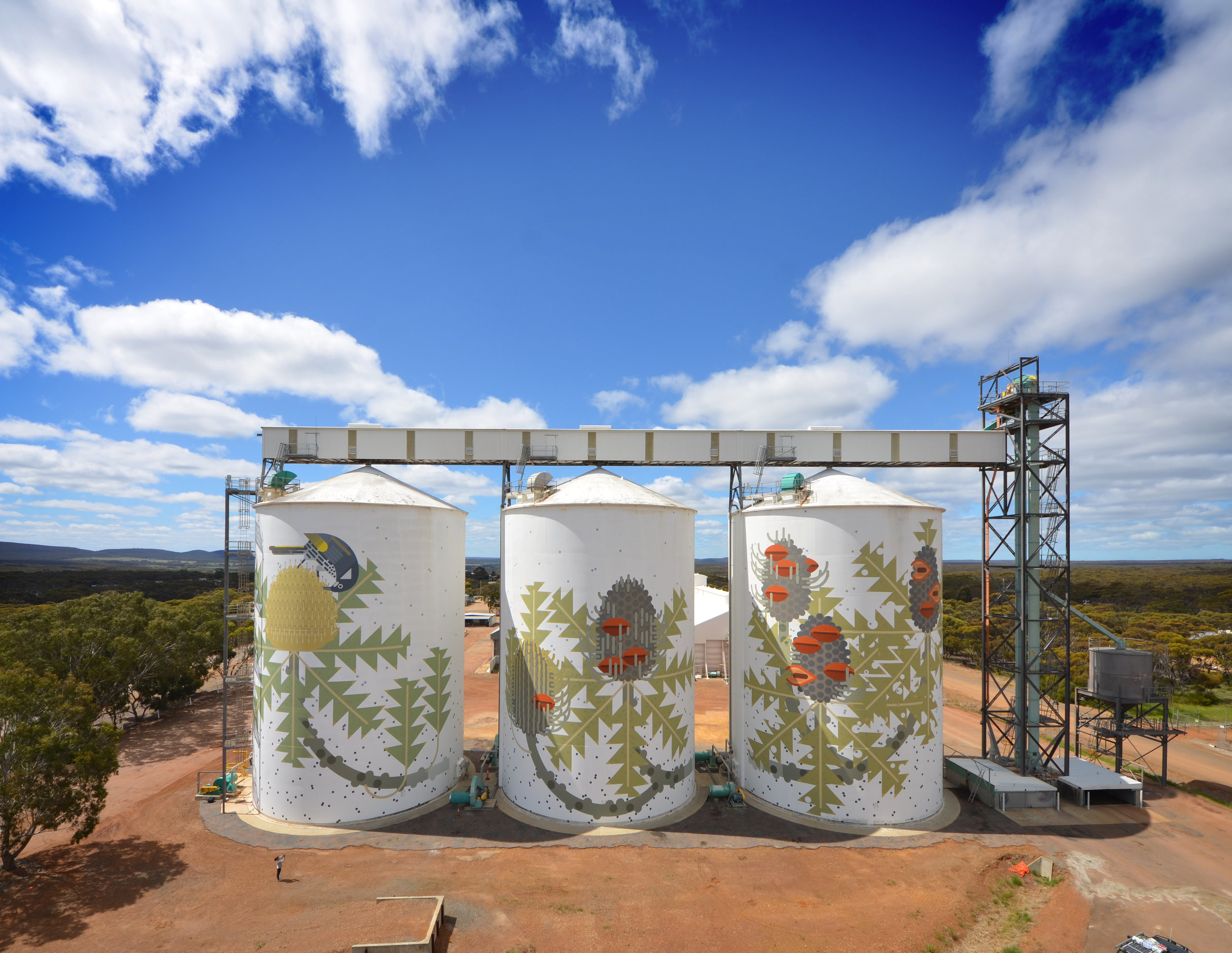 Ravensthorpe, WA Australia 2016. 'Six Stages of Banksia Baxteri' (side 2) Commissioned by FORM WA and CBH - click for more about this project