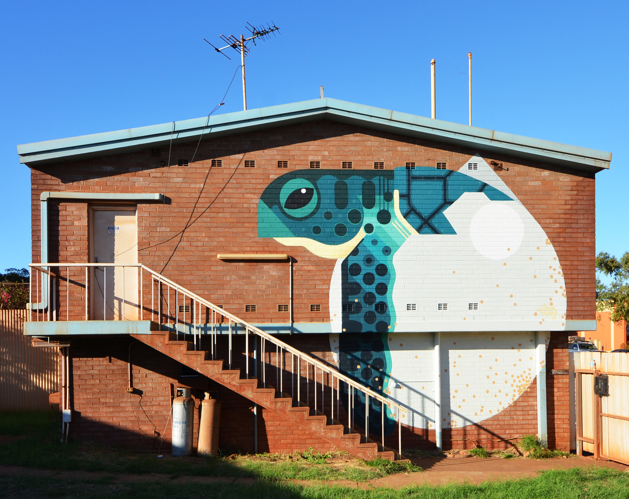 Port Hedland, WA Australia 2015. 'Flatback Turtle Hatchling' commissioned by FORM WA