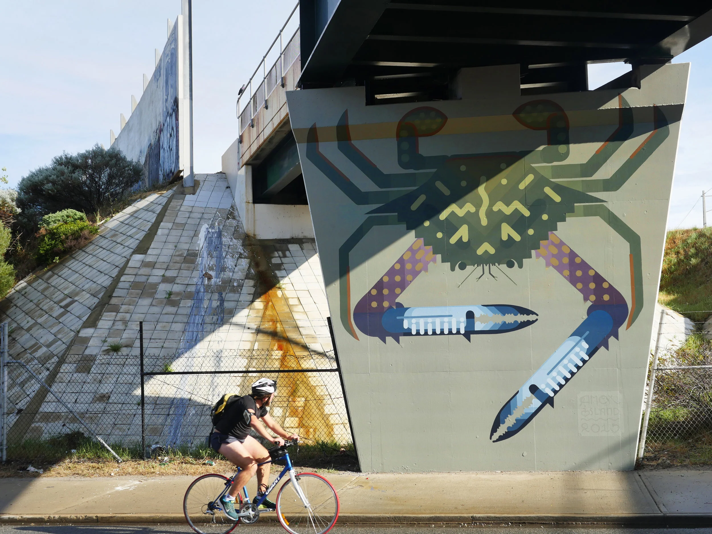 North Fremantle, WA Australia 2015. 'Blue Swimmer Crab' for UNDERLINE festival