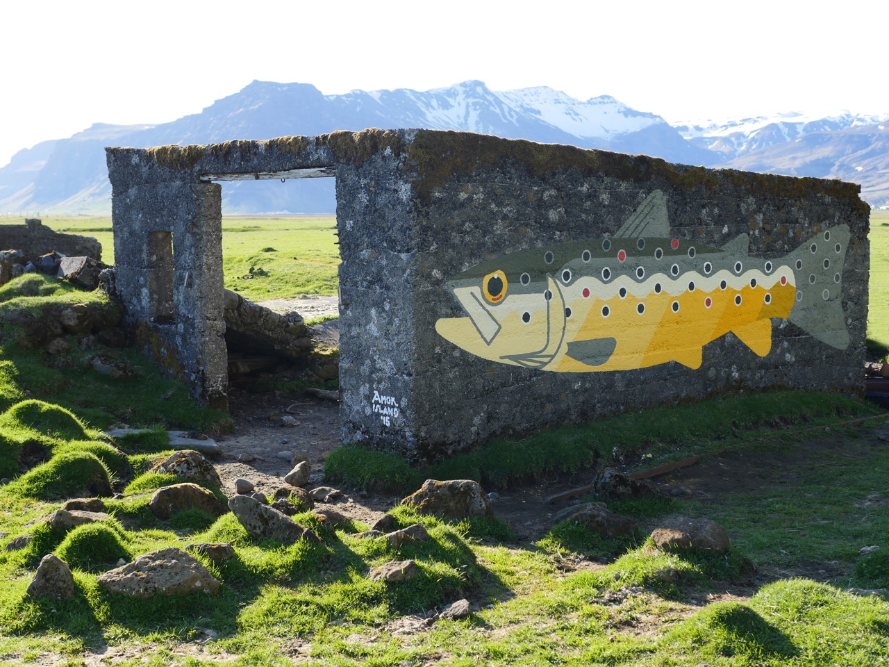 Iceland 2015. 'Icelandic Brown Trout'
