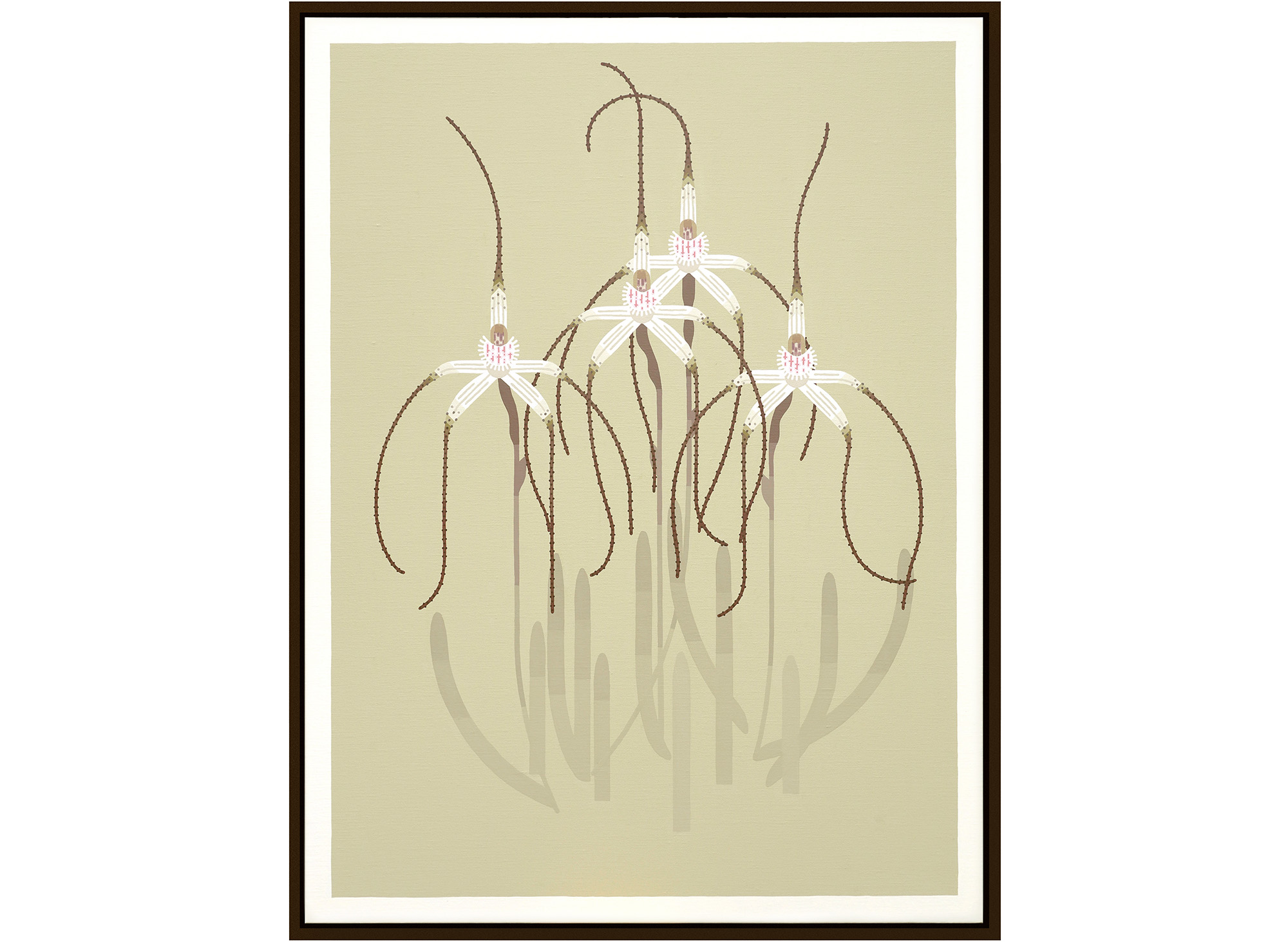 'Caladenia exilis' 105cm x 80cm - acrylics on linnen 2016