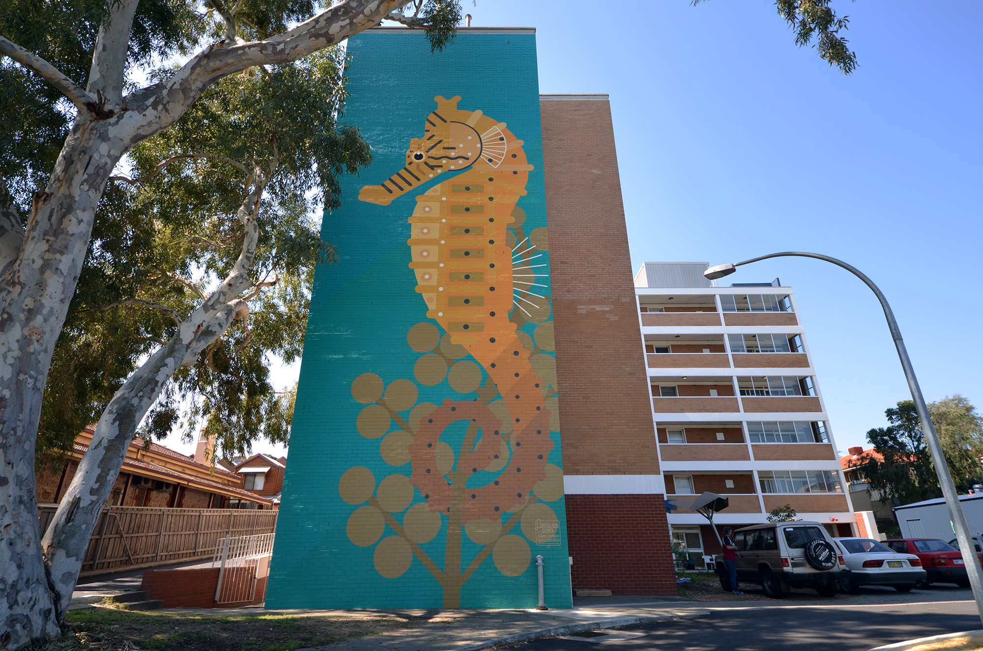 Fremantle, Western Australia 2014. 'Hippocampus subelongatus' Commissioned by FORM / 100 Hampton Road