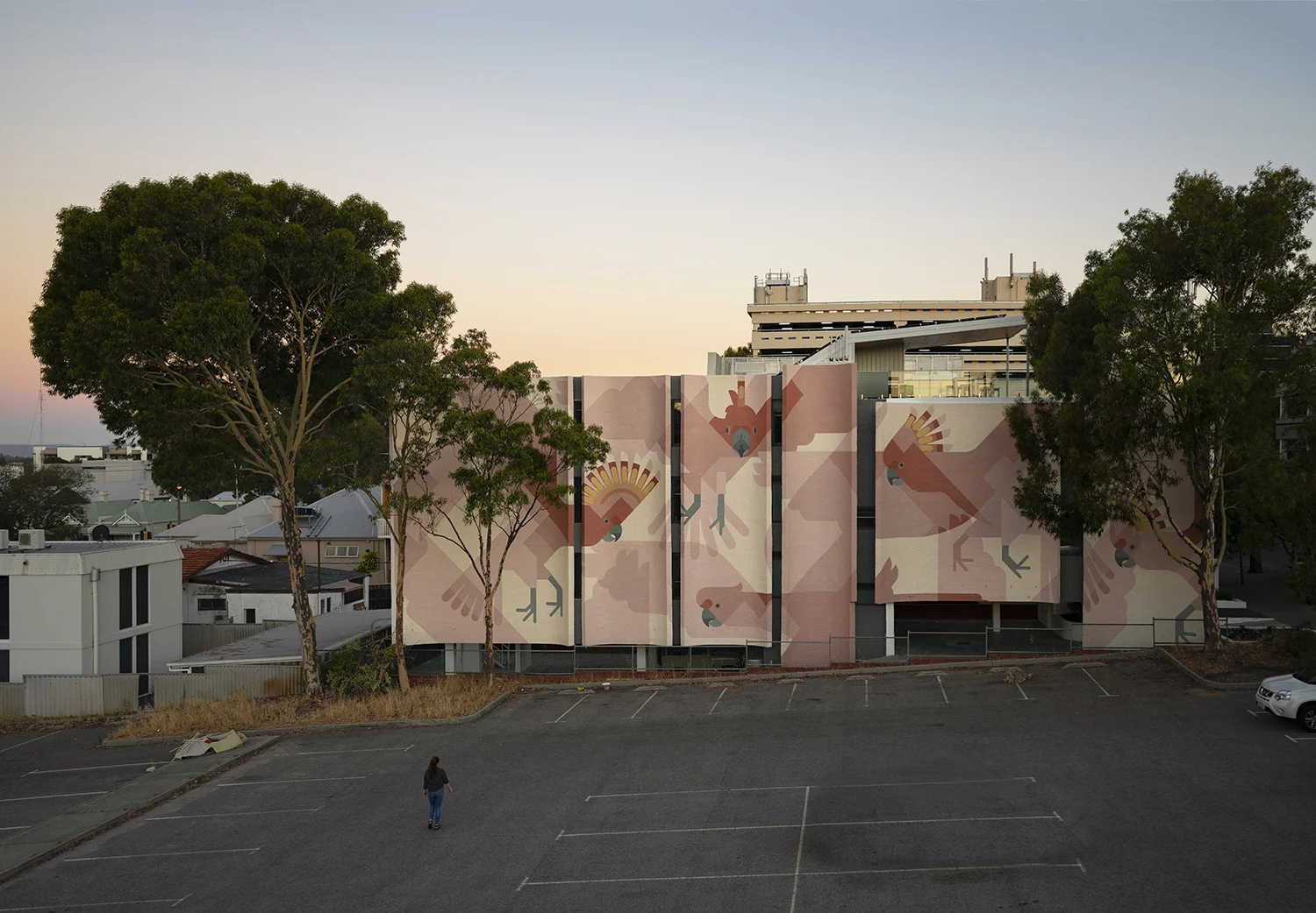 Perth, WA Australia 2018, ‘Major Mitchell Cockatoos’ Commissioned by Entech.