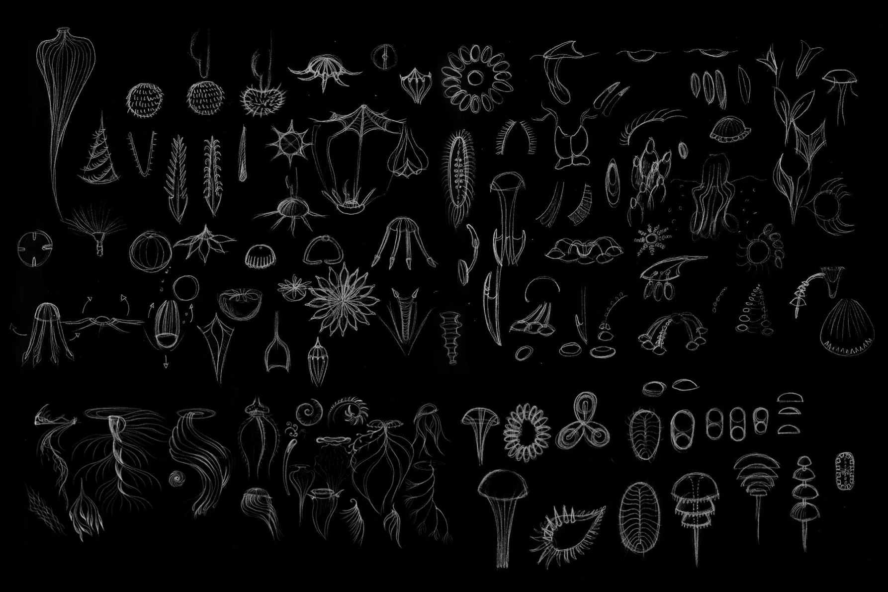 synthetic-jellies-sketches.jpg