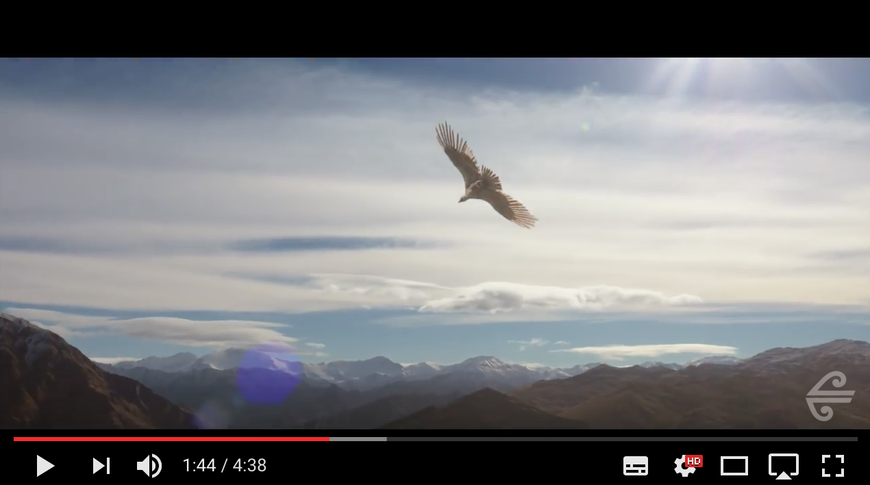 The most epic safety video ever made Air NZ