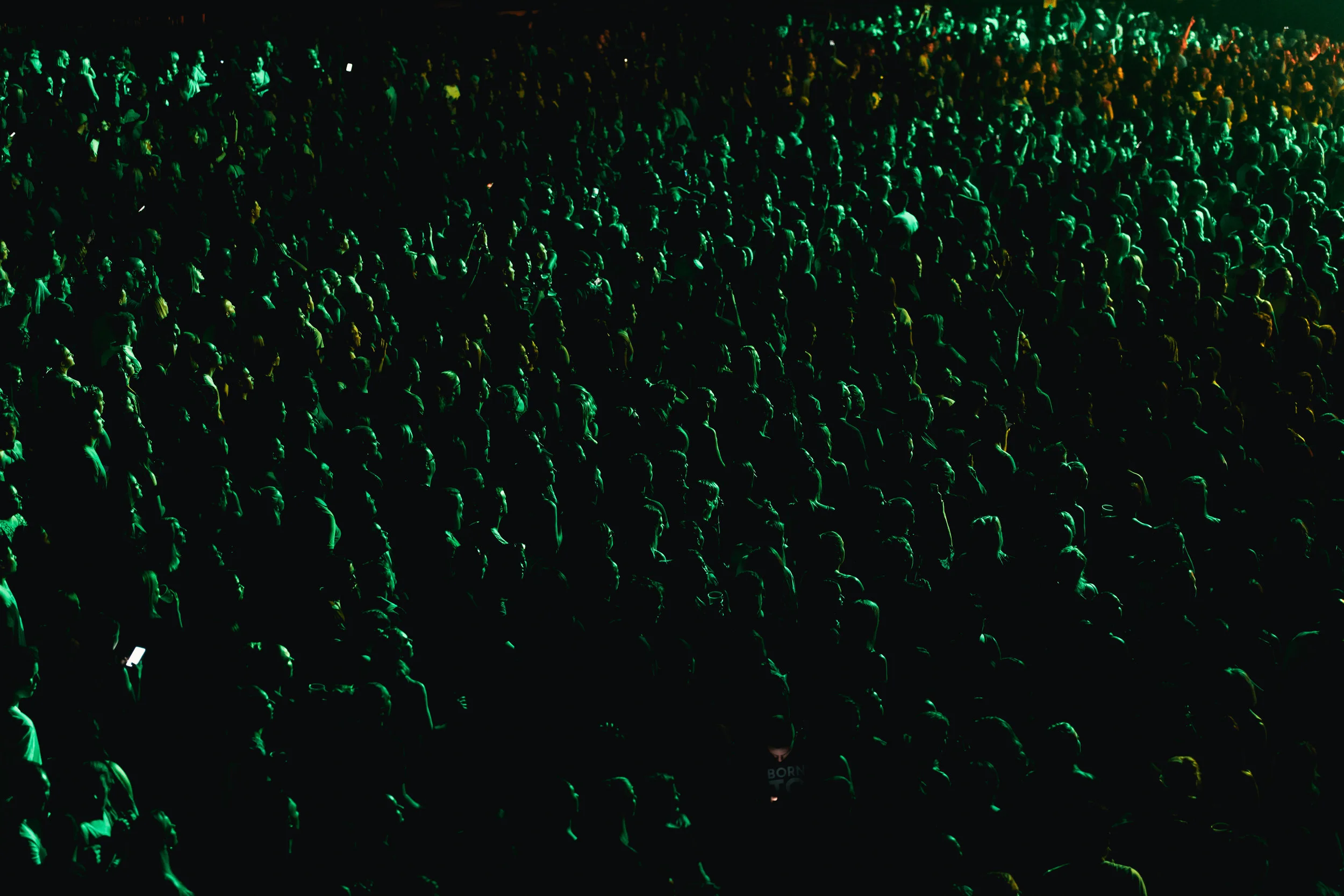 DSC_6921.jpg
