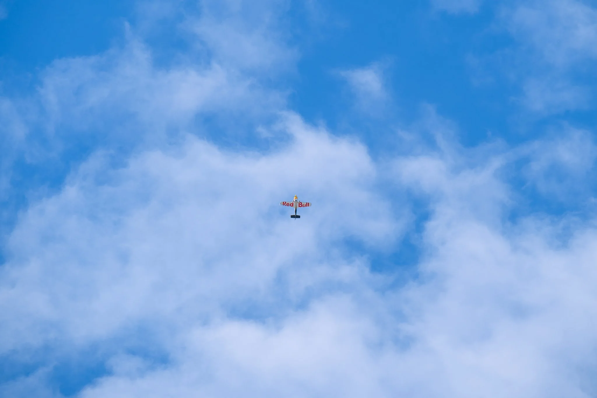 DSC_4951-Enhanced-RD-NR.jpg