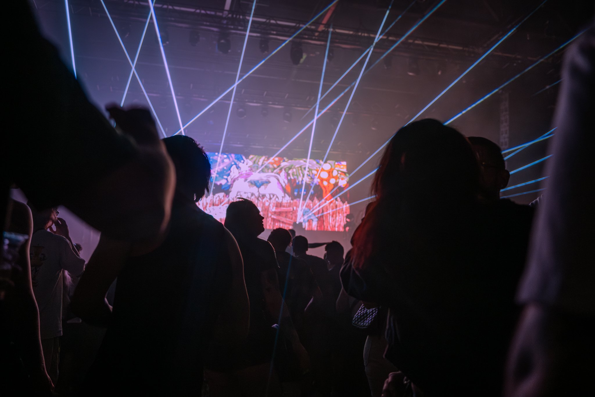 TouchBass2024Adelaide_dannyhowe-330.jpg
