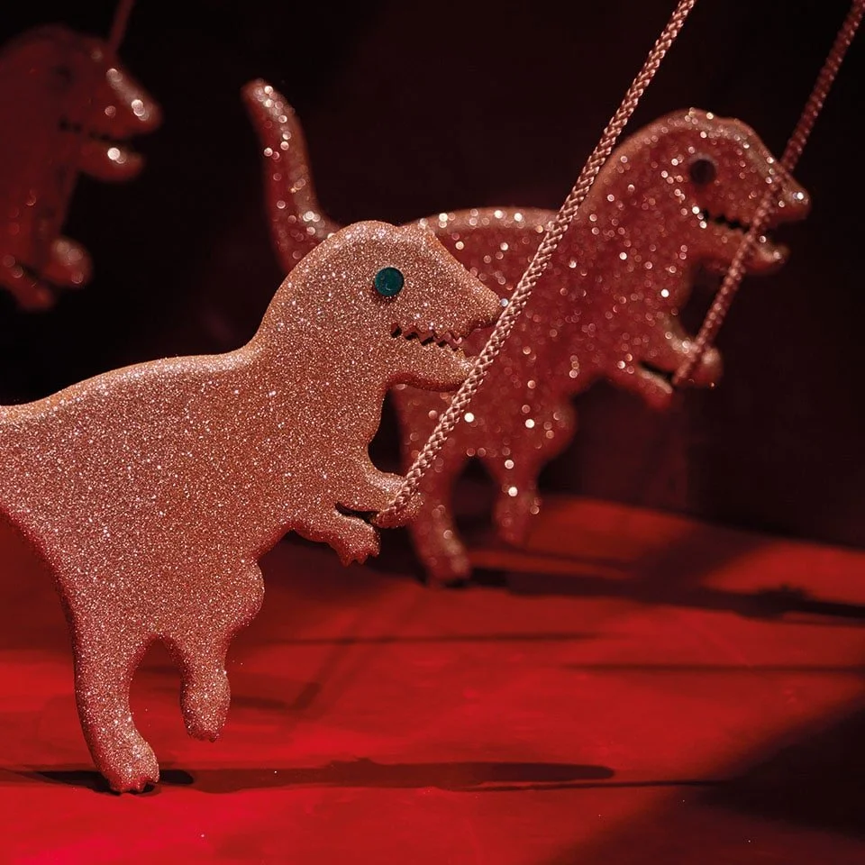 COACH HARLEQUIN 2017 3.jpeg