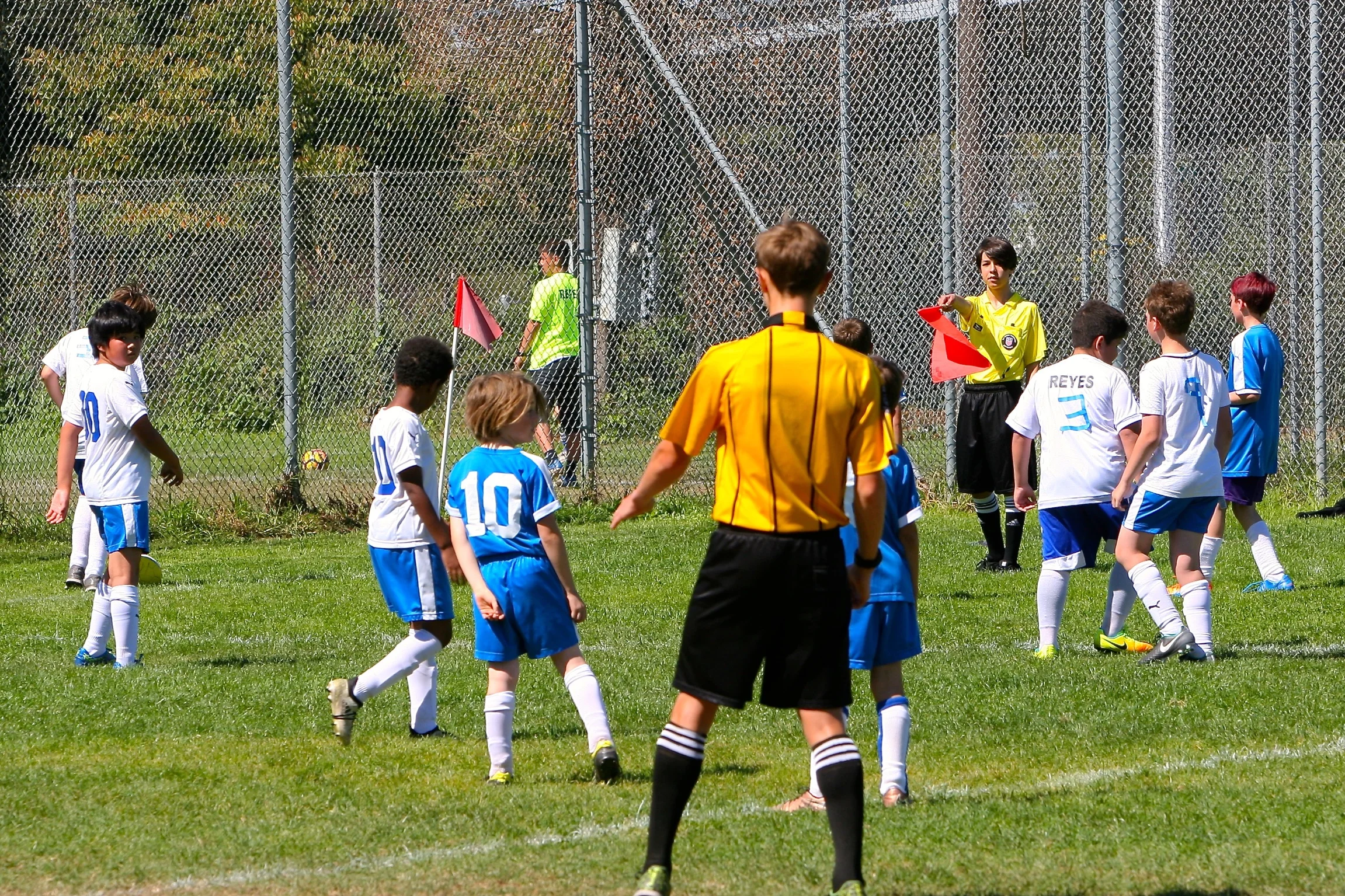 IMG_3823.jpg