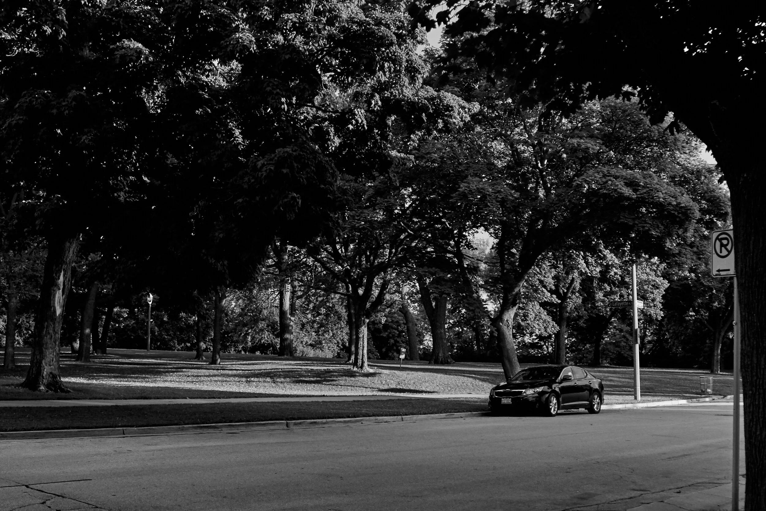 Jared Dubose Photography DSC03785.jpg
