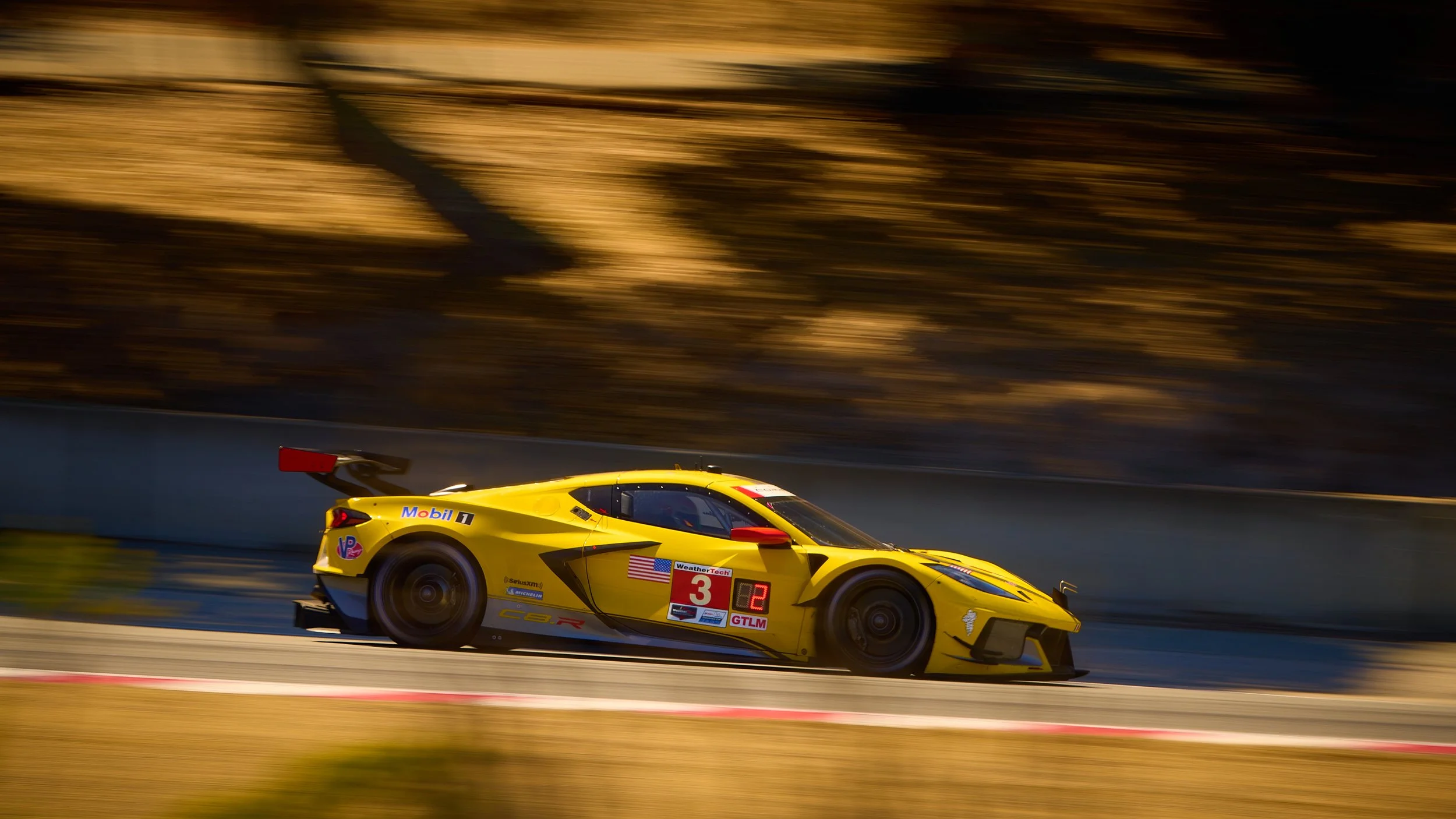 IMS05175High Res.jpg