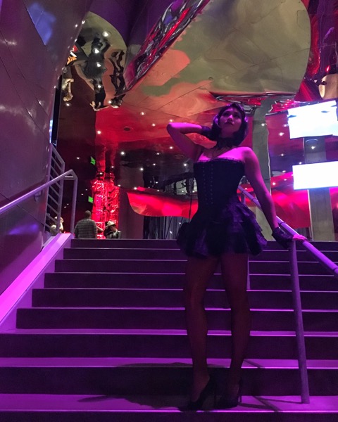 Outfit details: Corset dress/ Choker/ Gloves / Wig&nbsp;