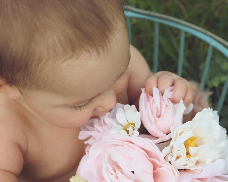 The Fourth Trimester