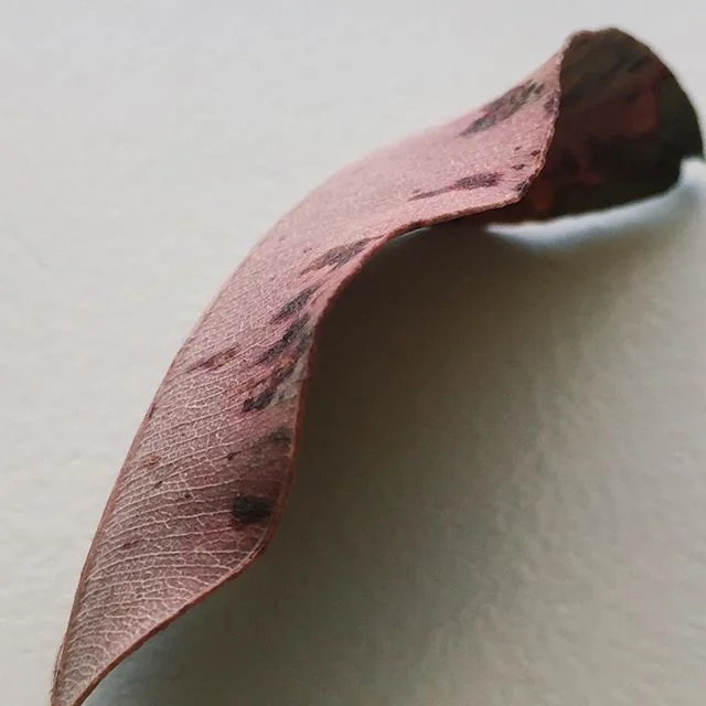 chestnut / sf / june 2018