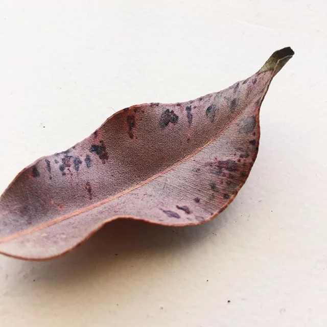 chestnut / sf / june 2018