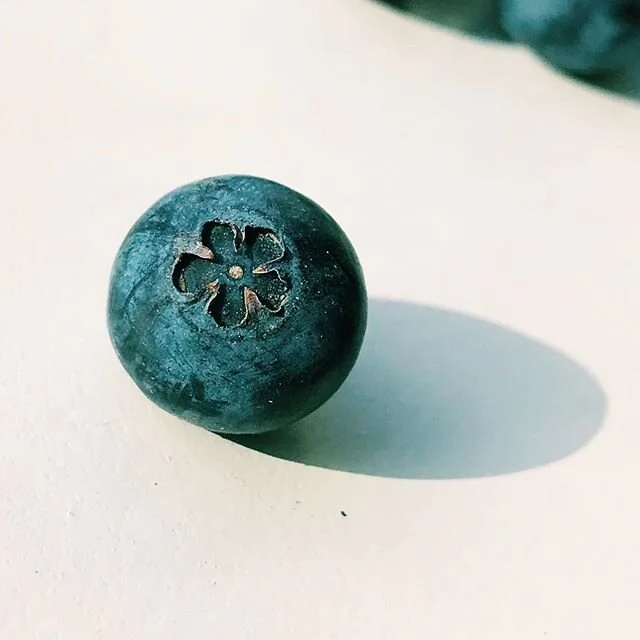 indoors / sf / march 2020