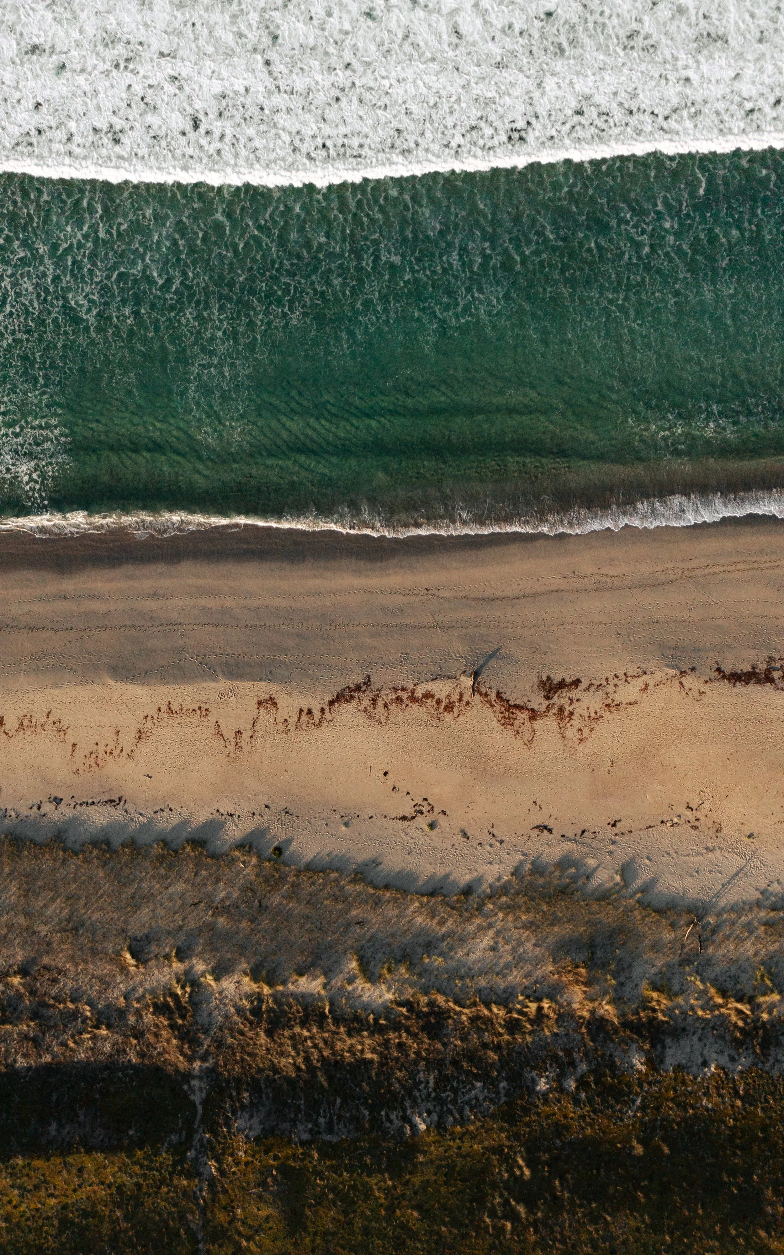 DJI_0355.jpg