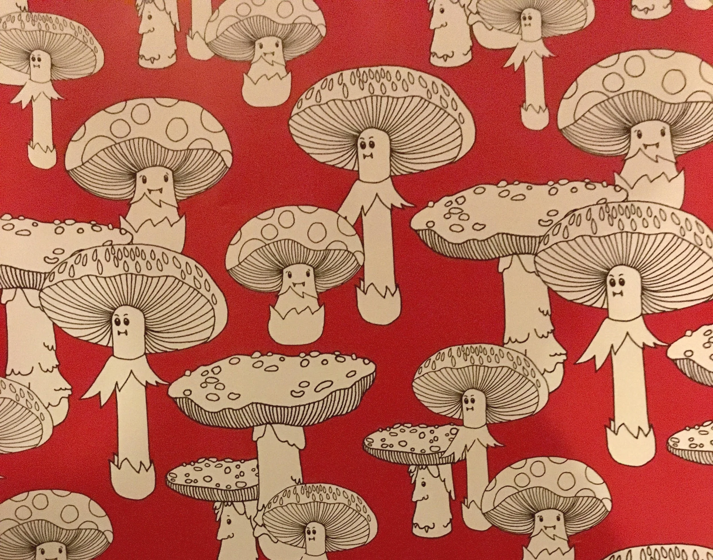This year’s wrapping paper.