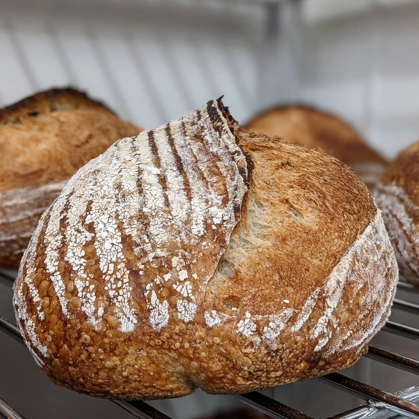 Baking Bread with Canadian Bakin