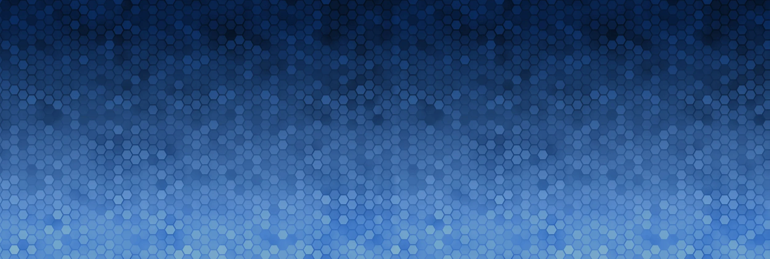 sapworks bg.jpg