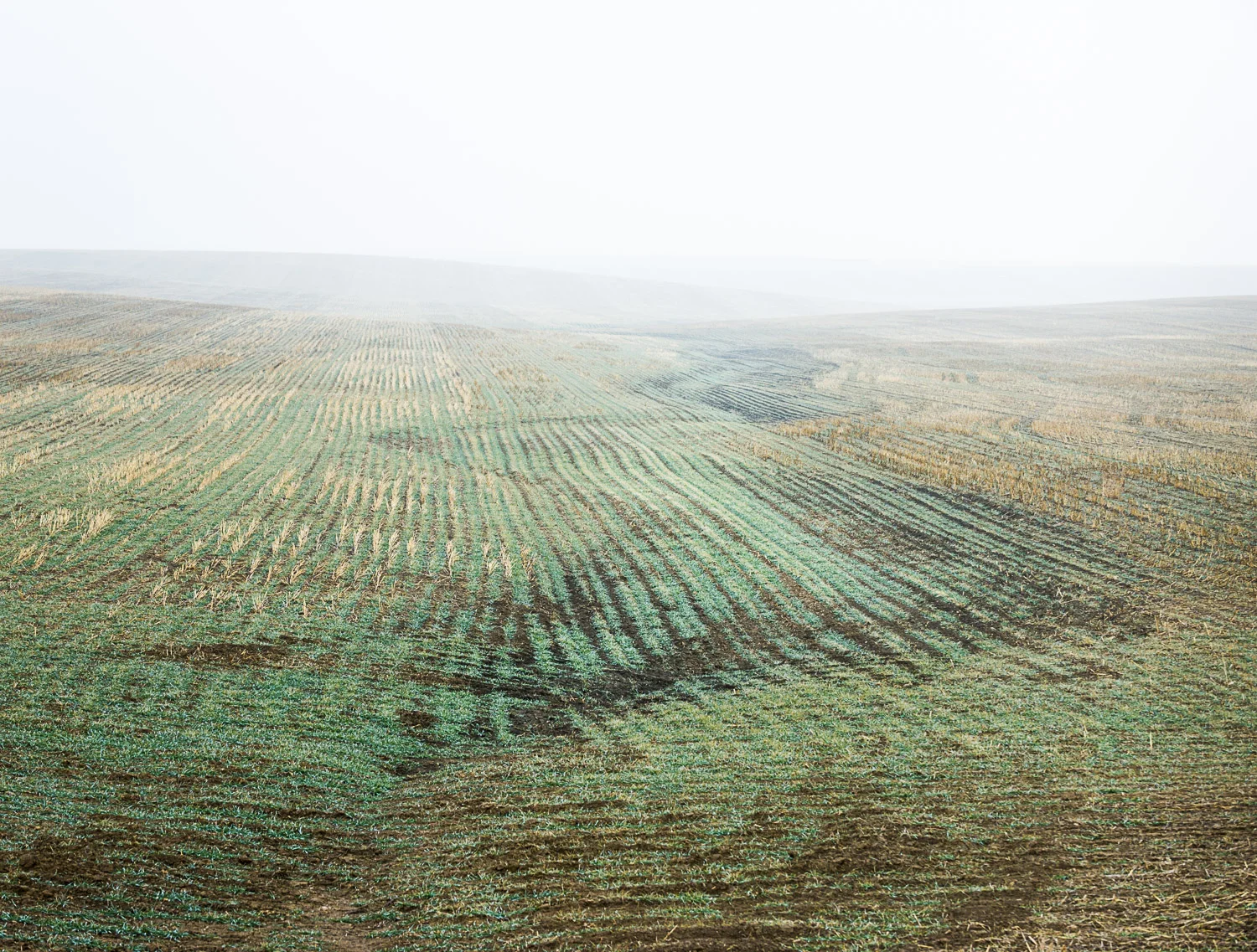 Water Course, Woodrow, CO, 2013