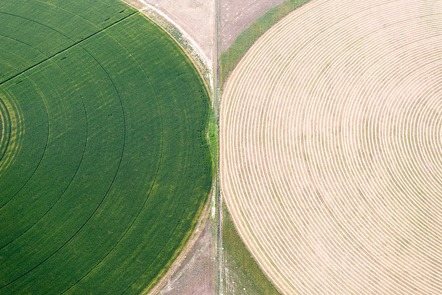 Crop Intersections, Wiggins, CO, 2013