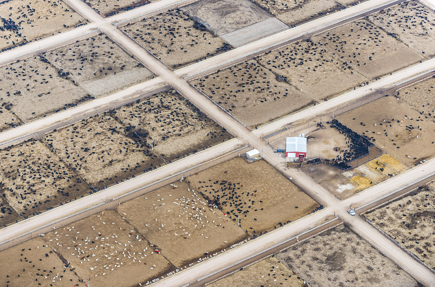 Red Pails, Yuma, CO, 2013