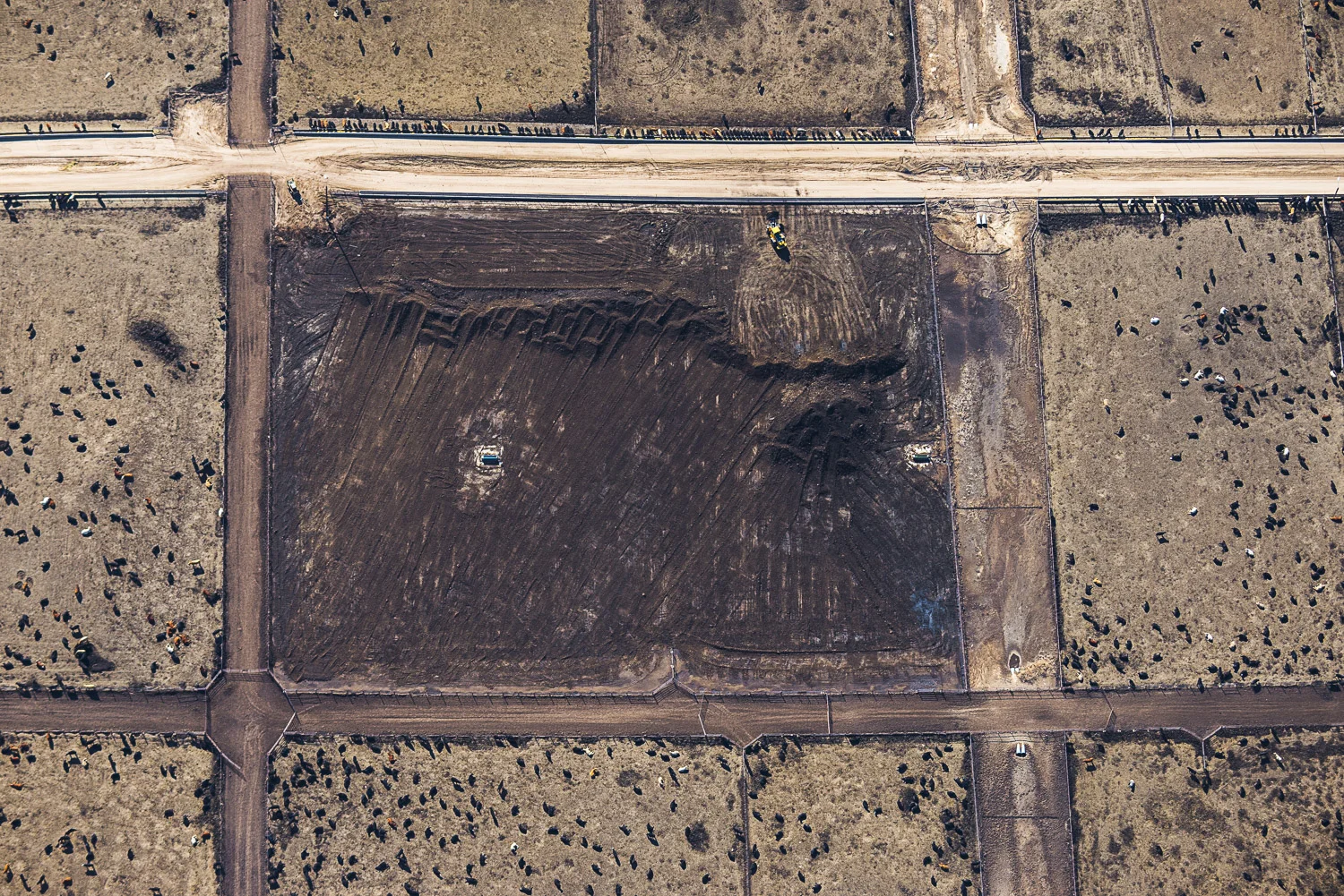 Scraping Mess, Yuma, CO, 2014